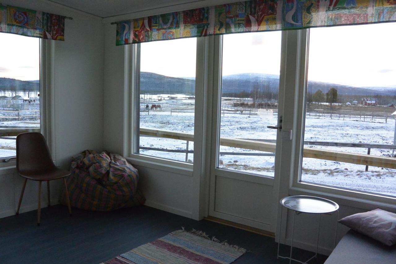 Ofelas Islandshaestar & Guideservice Kiruna Luaran gambar