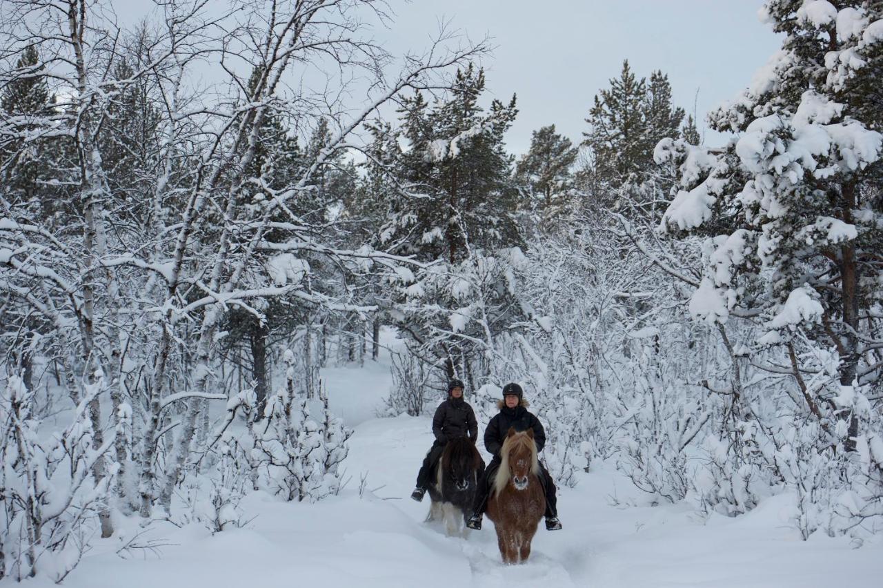 Ofelas Islandshaestar & Guideservice Kiruna Luaran gambar