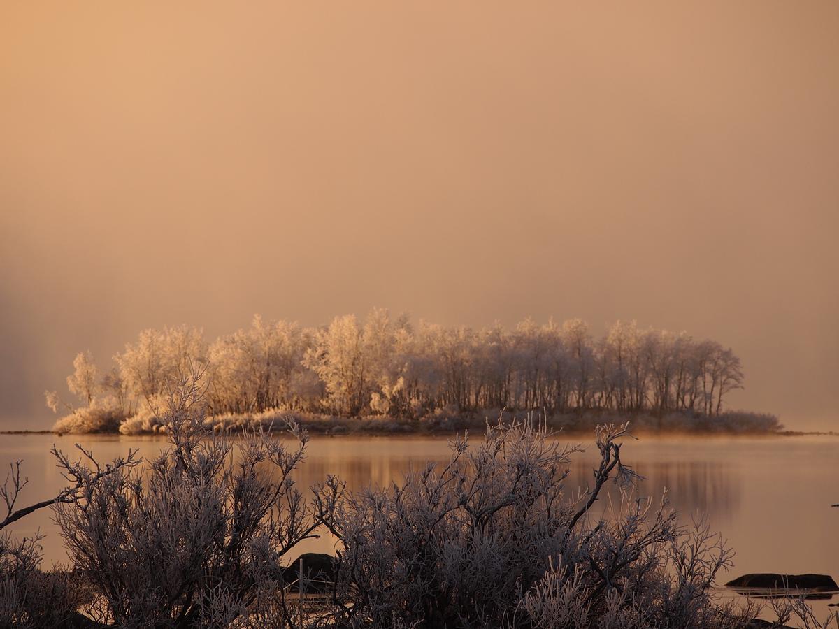 Ofelas Islandshaestar & Guideservice Kiruna Luaran gambar