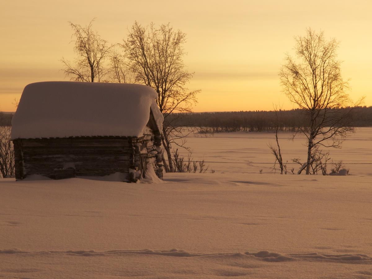 Ofelas Islandshaestar & Guideservice Kiruna Luaran gambar