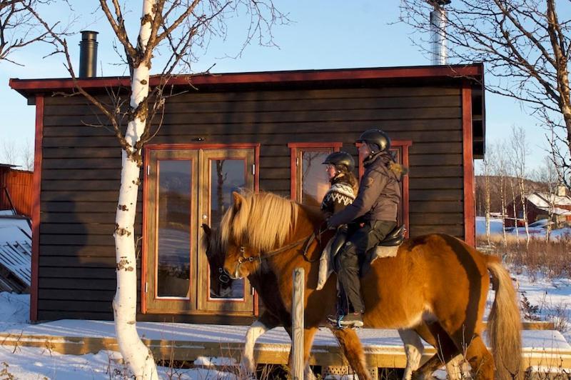 Ofelas Islandshaestar & Guideservice Kiruna Luaran gambar